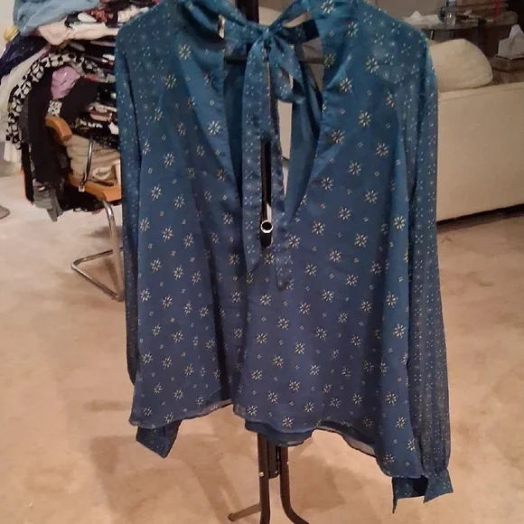 Tularosa Sheer Blue Floral Blouse - Picture 3 of 4